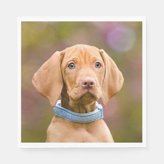Serviette En Papier Joli chiot hongrois Vizsla Chien Chien Photo / (Devant)