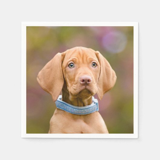 Serviette En Papier Joli chiot hongrois Vizsla Chien Chien Photo /. (Devant)