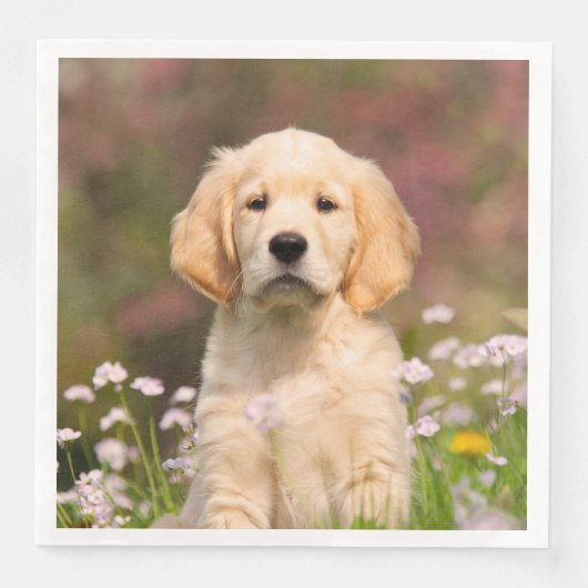 Serviette En Papier Joli Golden Retriever Chien Chiot Chiot Visage Ani (Devant)