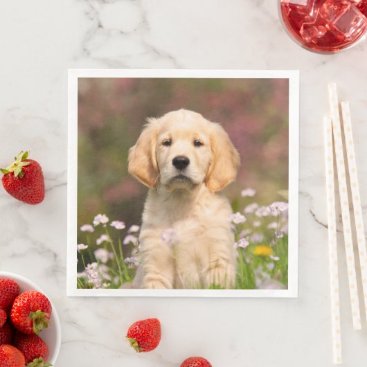 Serviette En Papier Joli Golden Retriever Chien Chiot Chiot Visage Ani (En situation)
