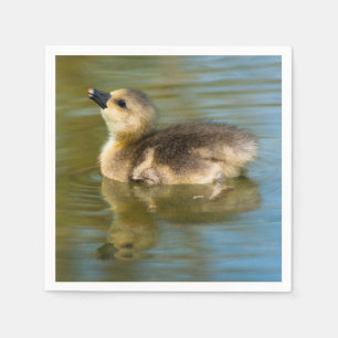 Serviette En Papier Joli gosling sur étang