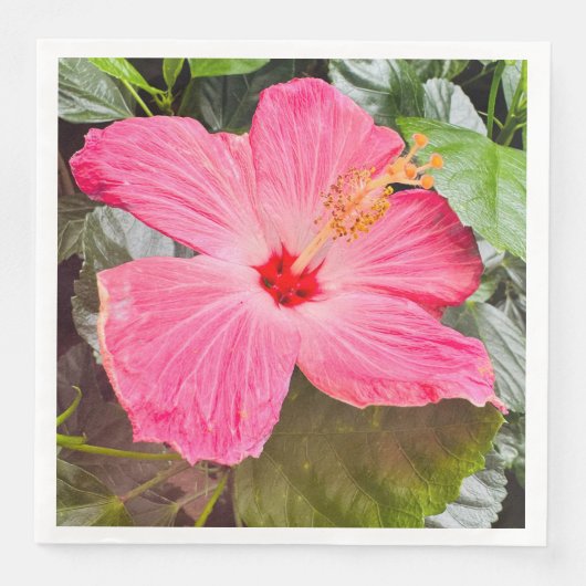 Serviette En Papier Joli Hibiscus rose (Devant)