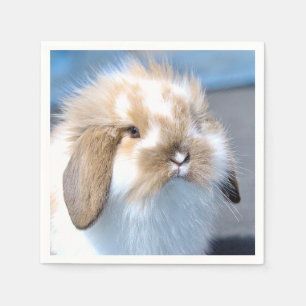 Serviette En Papier Joli lapin blanc et brun flamand