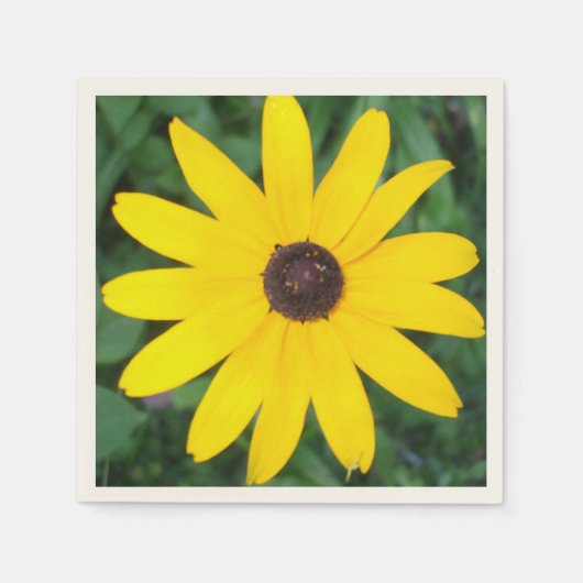 Serviette En Papier Jolie Black Eyed Susan (Devant)