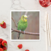 Serviette En Papier Jolie photo Green Budgie (En situation)