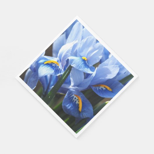 Serviette En Papier Jolie serviette bleue en iris (Coin)