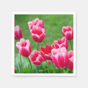 Serviette En Papier Jolis tulipes écarlates dans le jardin
