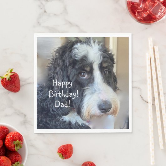Serviette En Papier Joyeux anniversaire adorable Bernedoodle (En situation)