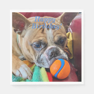 Serviette En Papier Joyeux anniversaire Brindle Boston Terrier