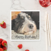 Serviette En Papier Joyeux anniversaire mignon Bernedoodle (En situation)