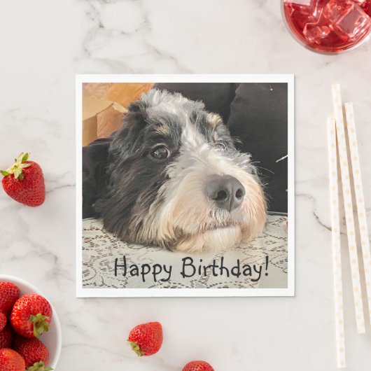 Serviette En Papier Joyeux anniversaire mignon Bernedoodle (En situation)