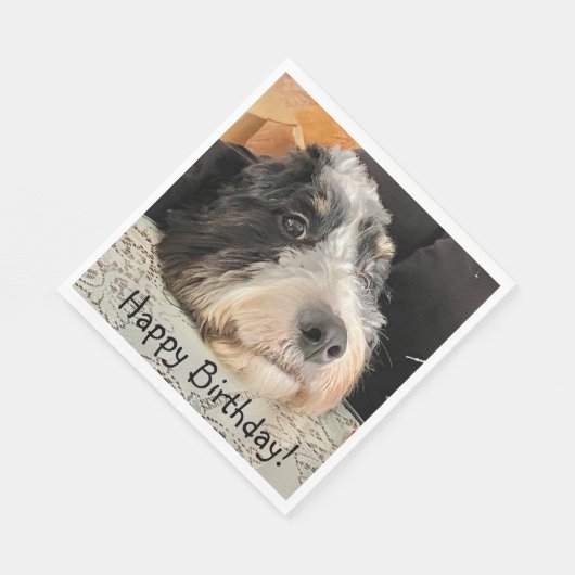 Serviette En Papier Joyeux anniversaire mignon Bernedoodle (Coin)