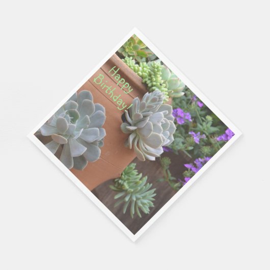Serviette En Papier Joyeux Anniversaire Succulent Addict (Coin)