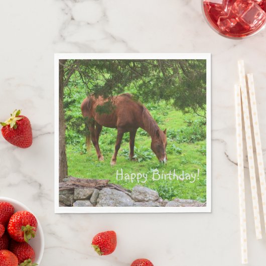Serviette En Papier Joyeux Cheval d'anniversaire (En situation)