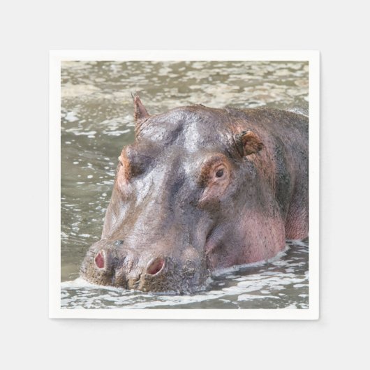 Serviette En Papier Joyeux Hippo (Devant)
