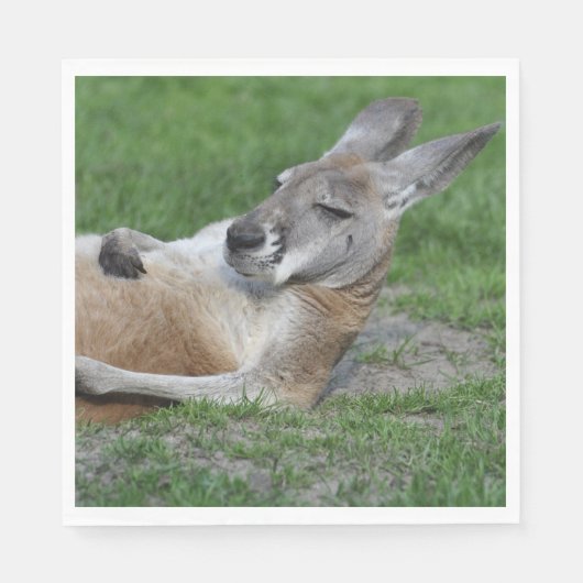 Serviette En Papier Kangaroo à dos (Devant)