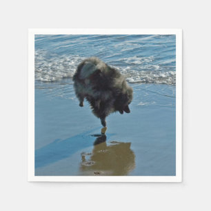 Serviette En Papier Keeshond Ballet Photographie - Joli chien d'origin