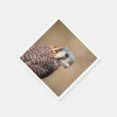Serviette En Papier Kestrel américain (Coin)