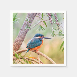 Serviette En Papier Kingfisher Perché sur la branche
