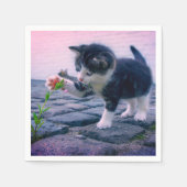 Serviette En Papier Kitten (Devant)