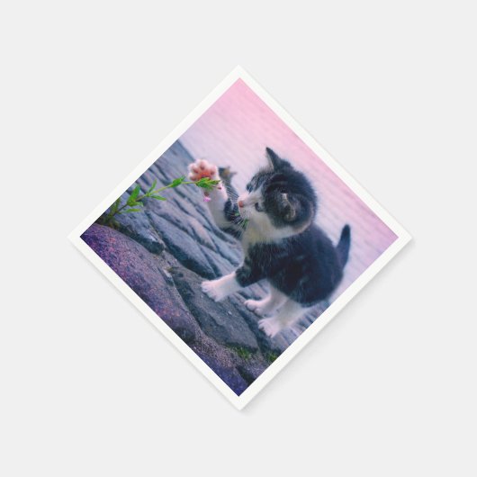 Serviette En Papier Kitten (Coin)