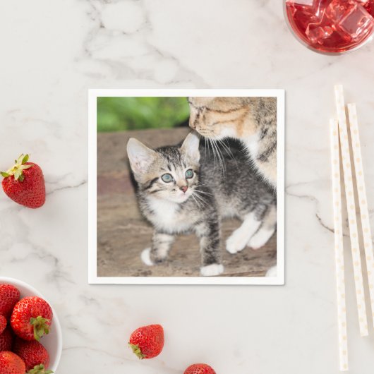 Serviette En Papier Kitten (En situation)