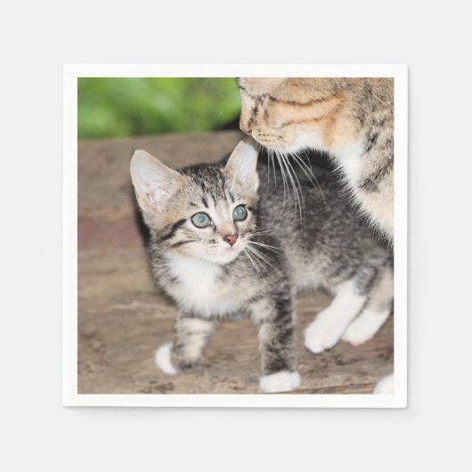 Serviette En Papier Kitten (Devant)