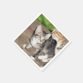 Serviette En Papier Kitten (Coin)
