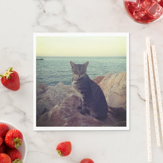 Serviette En Papier Kitten (En situation)