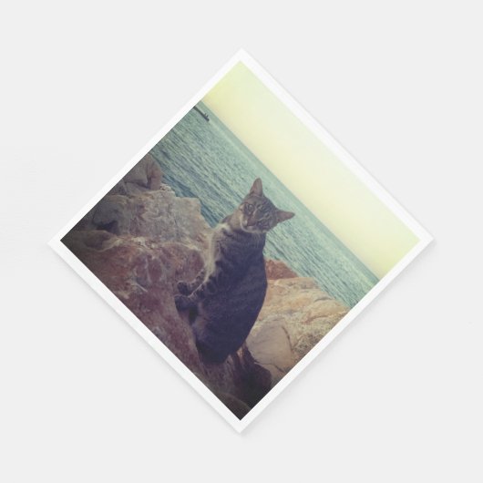 Serviette En Papier Kitten (Coin)