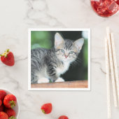 Serviette En Papier Kitten (En situation)