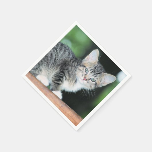 Serviette En Papier Kitten (Coin)