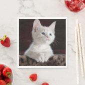 Serviette En Papier Kitten blanc vulnérable (En situation)