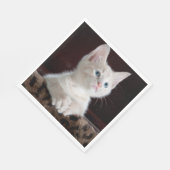 Serviette En Papier Kitten blanc vulnérable (Coin)