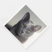 Serviette En Papier korat (Coin)