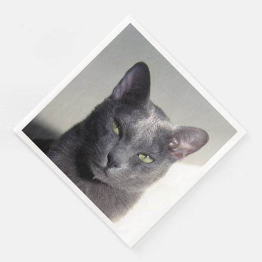 Serviette En Papier korat (Coin)