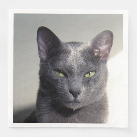 Serviette En Papier korat (Devant)