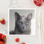 Serviette En Papier korat (En situation)