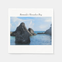 La baie du fer à cheval des Bermudes