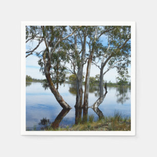 Serviette En Papier La Beauté D'Un Gomme,