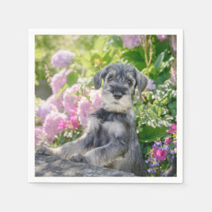 Serviette En Papier La coquelette Schnauzer dans un jardin fleuri :
