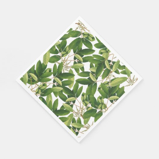 Serviette En Papier La verdure (Coin)