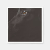 Serviette En Papier laboratoire noir (Devant)