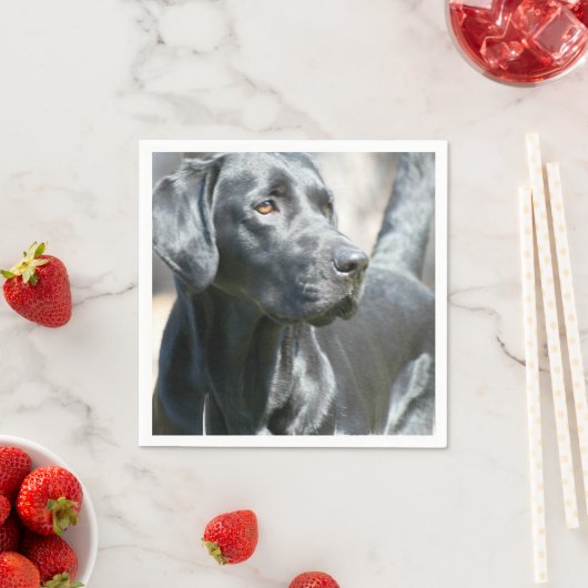 Serviette En Papier Laboratoire noir (En situation)