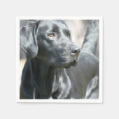 Serviette En Papier Laboratoire noir (Devant)