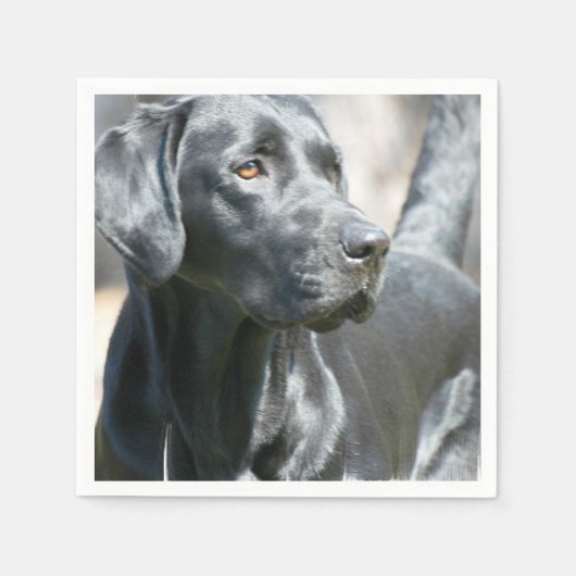 Serviette En Papier Laboratoire noir (Devant)