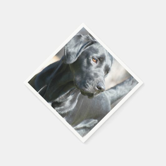 Serviette En Papier Laboratoire noir (Coin)