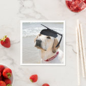 Serviette En Papier Labrador Retriever Graduate With Cap (En situation)