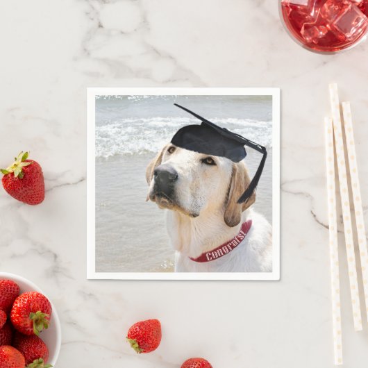 Serviette En Papier Labrador Retriever Graduate With Cap (En situation)