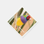 Serviette En Papier Lady Gouldian Finch (Coin)